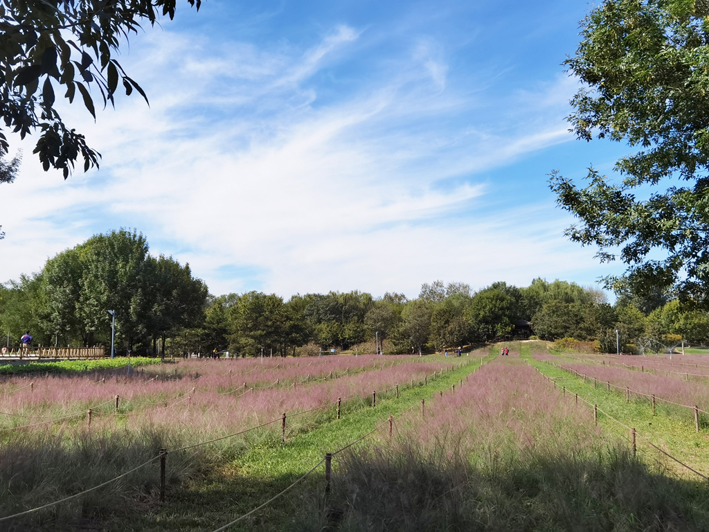 652215752c2d5.jpg 652215752c2d5.jpg